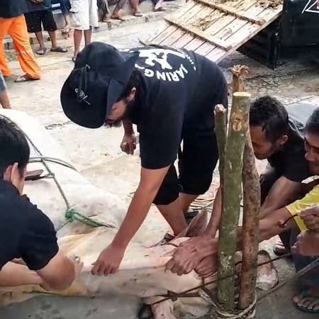 Berbuat Ihsan ketika Menyembelih