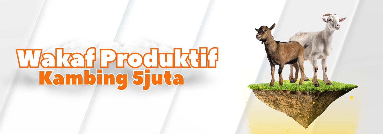 Wakaf Produktif Kambing