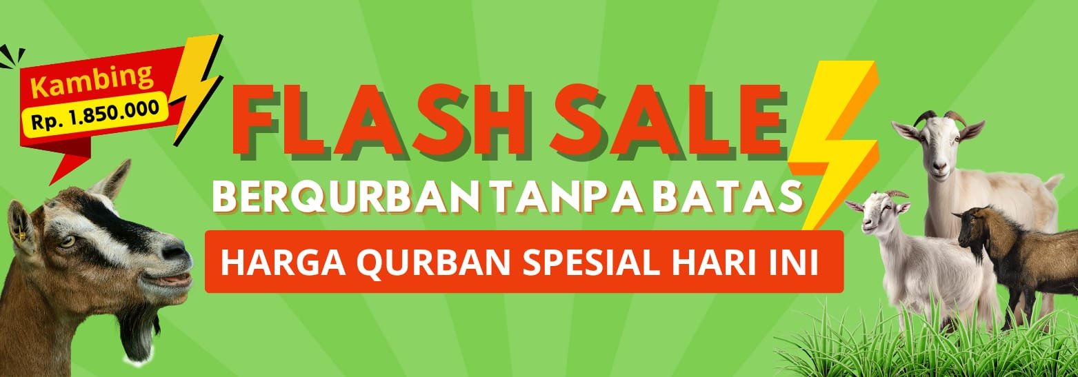 Flash Sale Berqurban Tanpa Batas Harga Spesial Hari ini